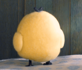 kiiroitori11.gif