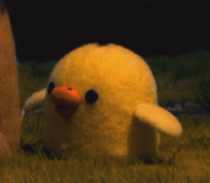 kiiroitori16.gif