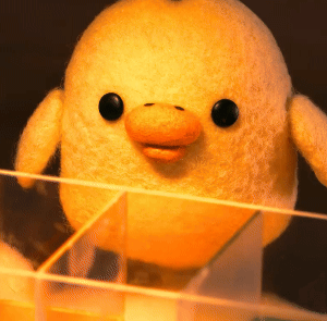 kiiroitori3.gif